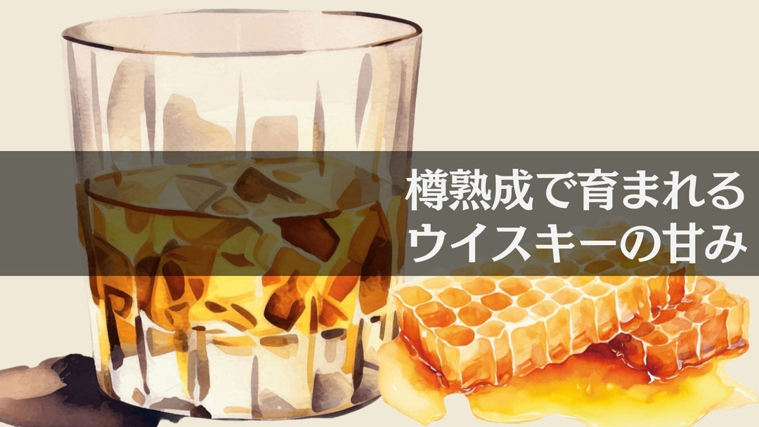 樽熟成で育まれる、ウイスキーの甘み【ウイスキーガイド #7】